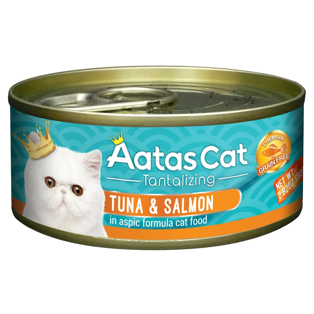 Tantalizing Tuna  Salmon